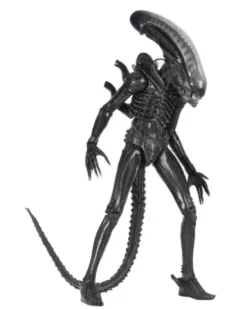Alien Big Chap 1/4 Af Rerun
