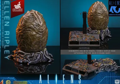 Alien Movie Masterpiece Figura 1/6 Ellen Ripley (Artisan Edition) Exclusive 30 cm