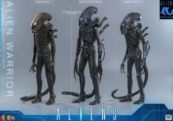 Alien Movie Masterpiece Figura 1/6 Alien Warrior (Deluxe Version) 39 cm