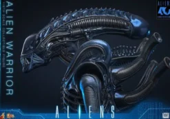 Alien Movie Masterpiece Figura 1/6 Alien Warrior (Deluxe Version) 39 cm