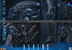 Alien Movie Masterpiece Figura 1/6 Alien Warrior (Deluxe Version) 39 cm