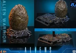 Alien Movie Masterpiece Figura 1/6 Alien Warrior (Deluxe Version) 39 cm