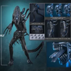 Alien Movie Masterpiece Figura 1/6 Alien Warrior 39 cm