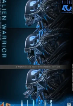 Alien Movie Masterpiece Figura 1/6 Alien Warrior 39 cm