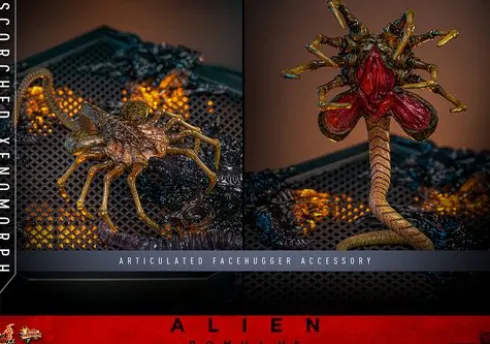 Alien Romulus Figura 1/6 Movie Masterpiece Scorched Xenomorph