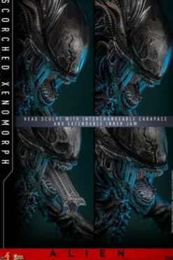 Alien Romulus Figura 1/6 Movie Masterpiece Scorched Xenomorph