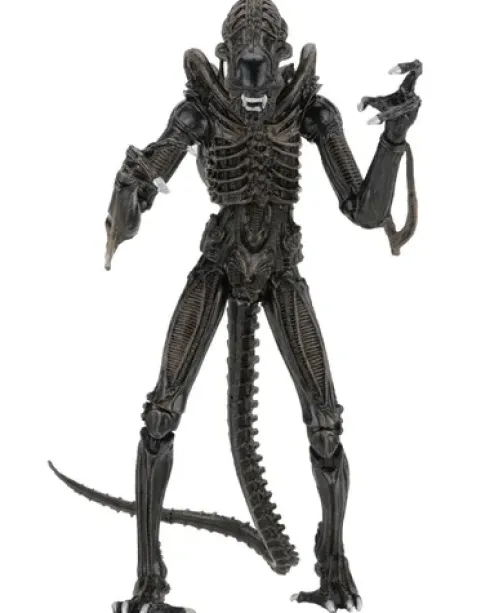 Aliens Alien Warrior Brown 1986 Ultimate Af