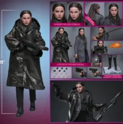 Ballerina Action Figure 1/6 Eve Macarro (Artisan Editon) Hot Toys Exclusive 28 cm