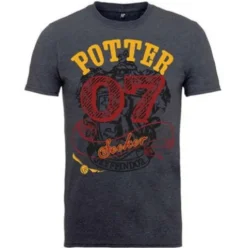Camiseta Harry Potter Chico Potter 07