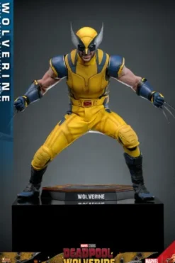 Deadpool & Wolverine Figura 1/6 Wolverine