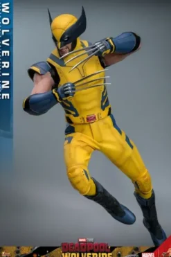 Deadpool & Wolverine Figura 1/6 Wolverine