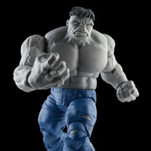 Hasbro Marvel Legends Series Gray Hulk and Dr. Bruce Banner
