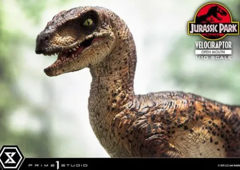 Jurassic Park Estatua Prime Collectibles 1/10 Velociraptor Open Mouth 19 cm