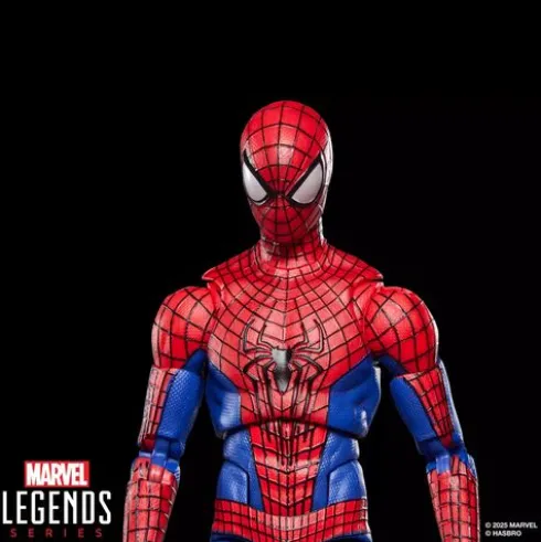 Marvel Legends Series The Amazing Spider-Man