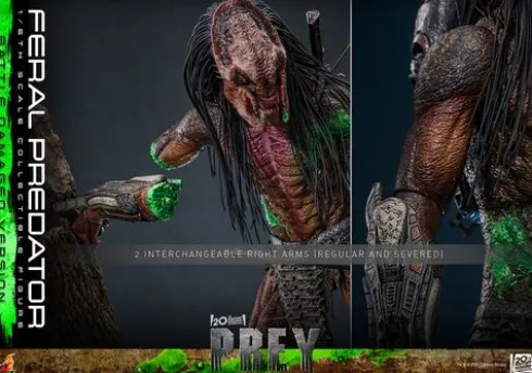 Predator: Prey Figura Movie Masterpiece 1/6 Feral Predator (Battle Damaged Version) 37 cm