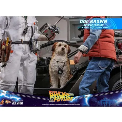 Regreso al futuro Figura Movie Masterpiece 1/6 Doc Brown (Deluxe Version) 30 cm Hot Toys