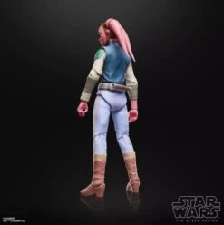 Star Wars The Black Series Devon Izara