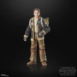 Star Wars The Black Series Fern