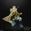 Star Wars The Black Series Princess Leia 40th (Endor)
