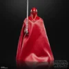 Star Wars The Black Series Royal Guard & Pilot
