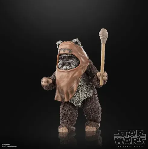 Star Wars The Black Series Wicket W. Warrick