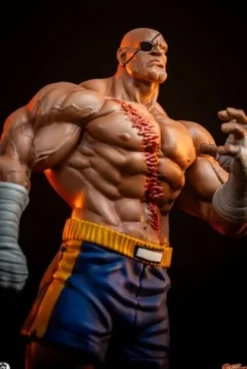 Street Fighter Street Jam Estatuas 1/10 Sagat & Juli 24 cm
