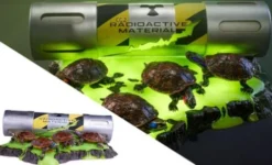 Tortugas Ninja Diorama Statuette Origins Edición Deluxe 13 cm