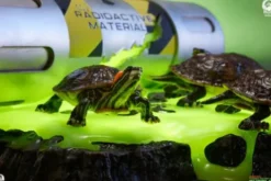 Tortugas Ninja Diorama Statuette Origins Edición Deluxe 13 cm