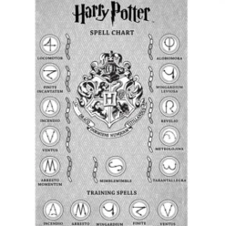 Varita Entrenamiento Hermione Granger Harry Potter