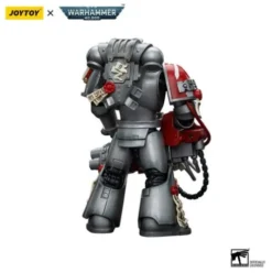 Warhammer 40k Figura 1/18 Grey Knights Strike Squad Grey Knight with Psilencer