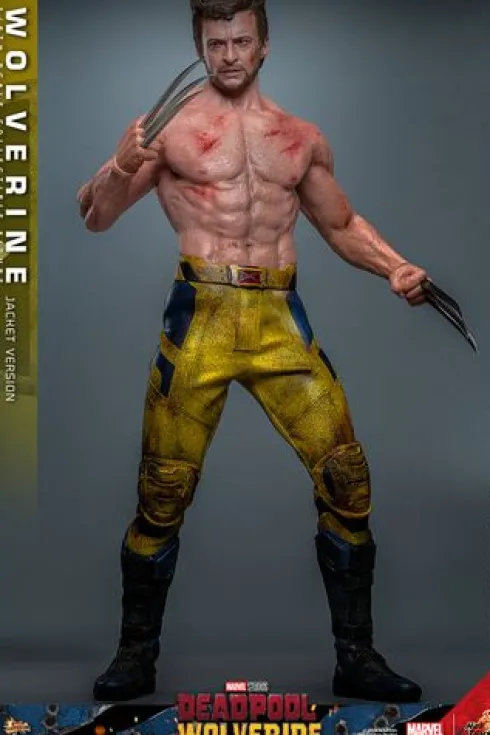 Wolverine (TVA Jacket Version) Figura Movie Masterpiece 1/6 Deadpool and Wolverine Hot Toys