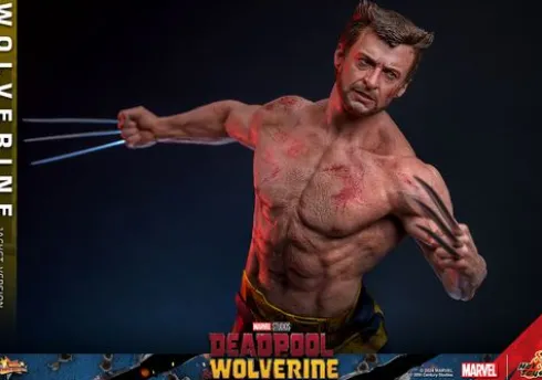 Wolverine (TVA Jacket Version) Figura Movie Masterpiece 1/6 Deadpool and Wolverine Hot Toys